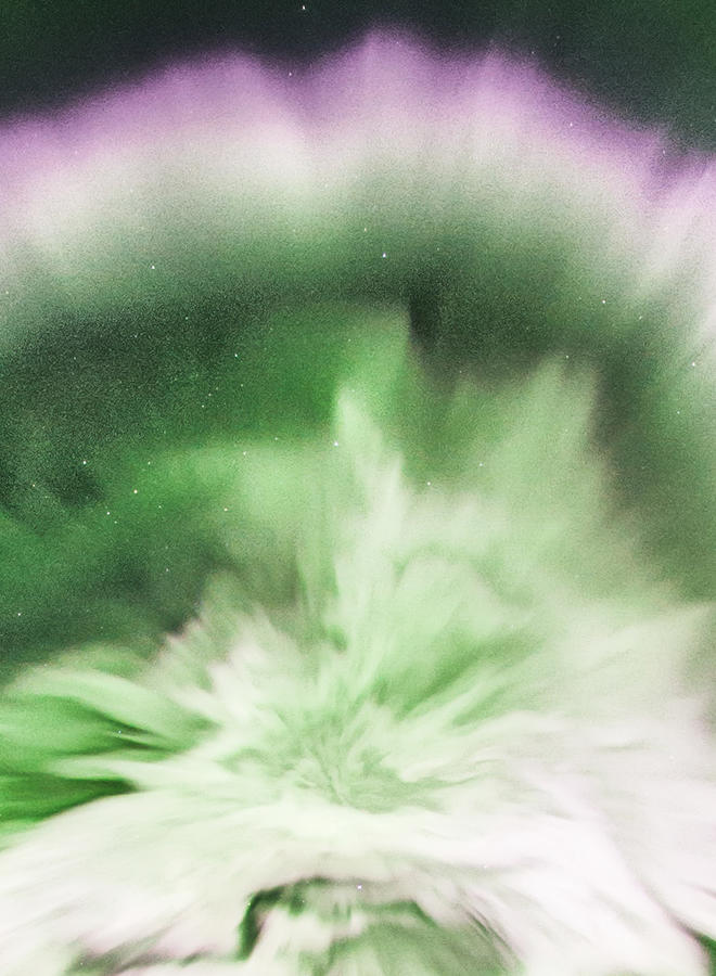 a Zonzo per le Montagne