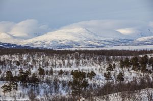 Parco Nazionale di Abisko