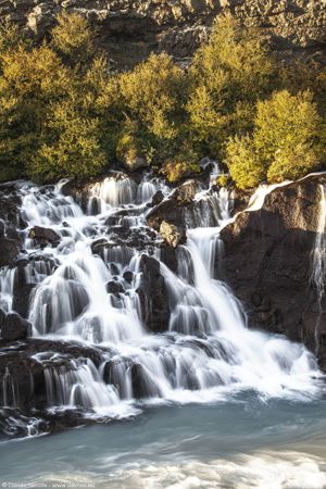 _MG_3319_result-SharpenAI-Motion