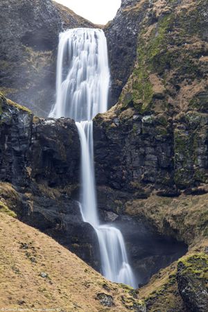 Bugsfoss